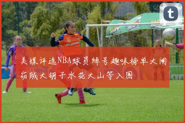 美媒评选NBA球员绰号趣味榜单大闸窃贼大胡子水花大山等入围