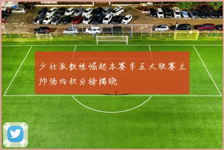 少壮派教练崛起本赛季五大联赛主帅场均积分榜揭晓