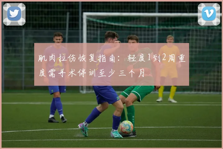 肌肉拉伤恢复指南：轻度1到2周重度需手术停训至少三个月