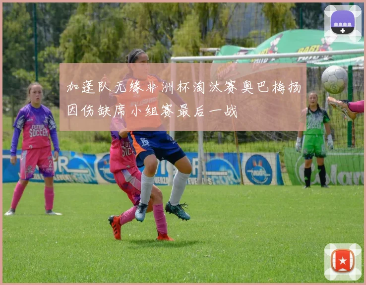 加蓬队无缘非洲杯淘汰赛奥巴梅扬因伤缺席小组赛最后一战